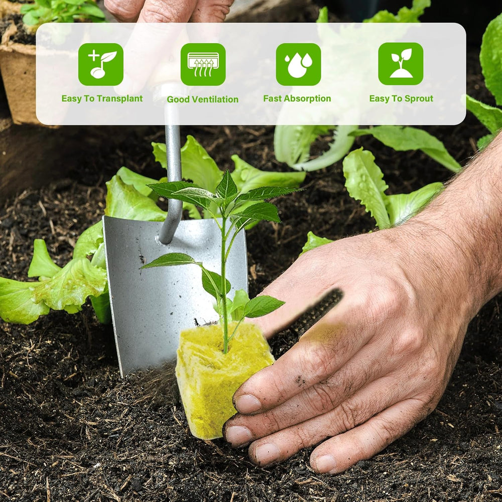 100 pezzi Steinwolle Anzucht Würfel 2.5x2.5x2.5CM Rockwool Cube Anzuchtmatte Steinwolle Anbau Hydrokultur Umpflanzen für Bodenlose Anzucht Setzlinge Stecklinge Klonpflanzen