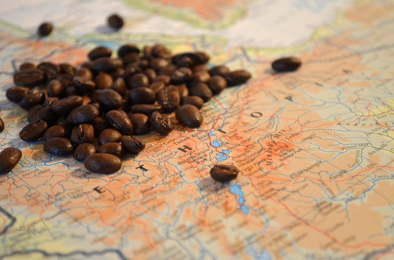 C&T Coffee Rarity - Cafea Sălbatică din Etiopia, Africa | 1000g Cafea (Boabe Întregi) - Putern și Fructat | + Cultivată Sălbatic + Culesă Manual + Uscată la Soare + Prăjită Ușor