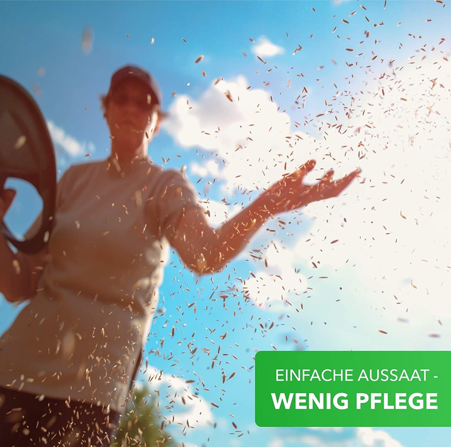 Magia della Natura 800gr. Blumensamen Mischung - Bienen Paradies - Blühfreudige Bienenweide per 150 bis 250 m²