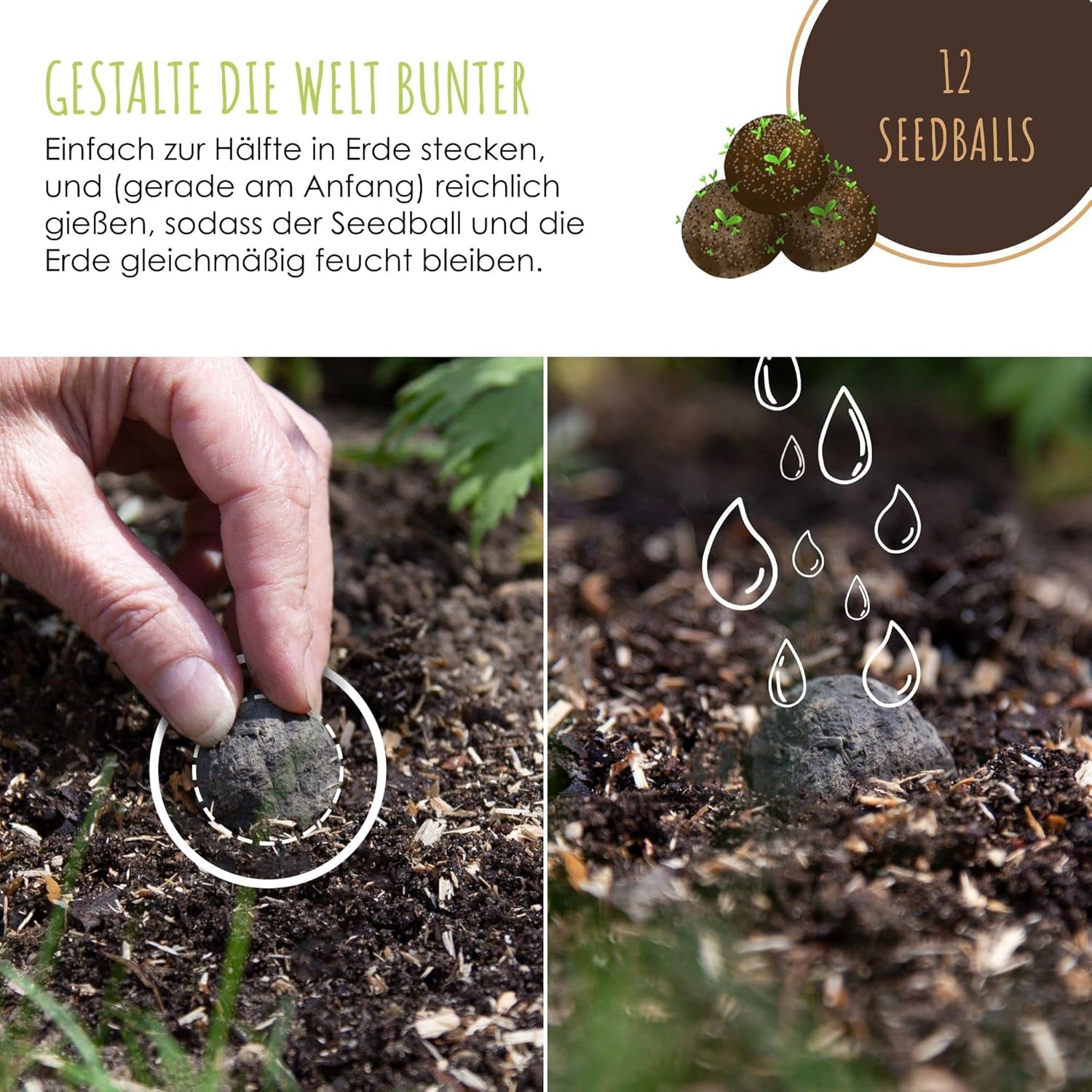 Samenbomben Selber Machen Für Eine Bunte Bienenweide - Bienenfreundlicher Seedbomb Bausatz Für 20-30 Seedbombs