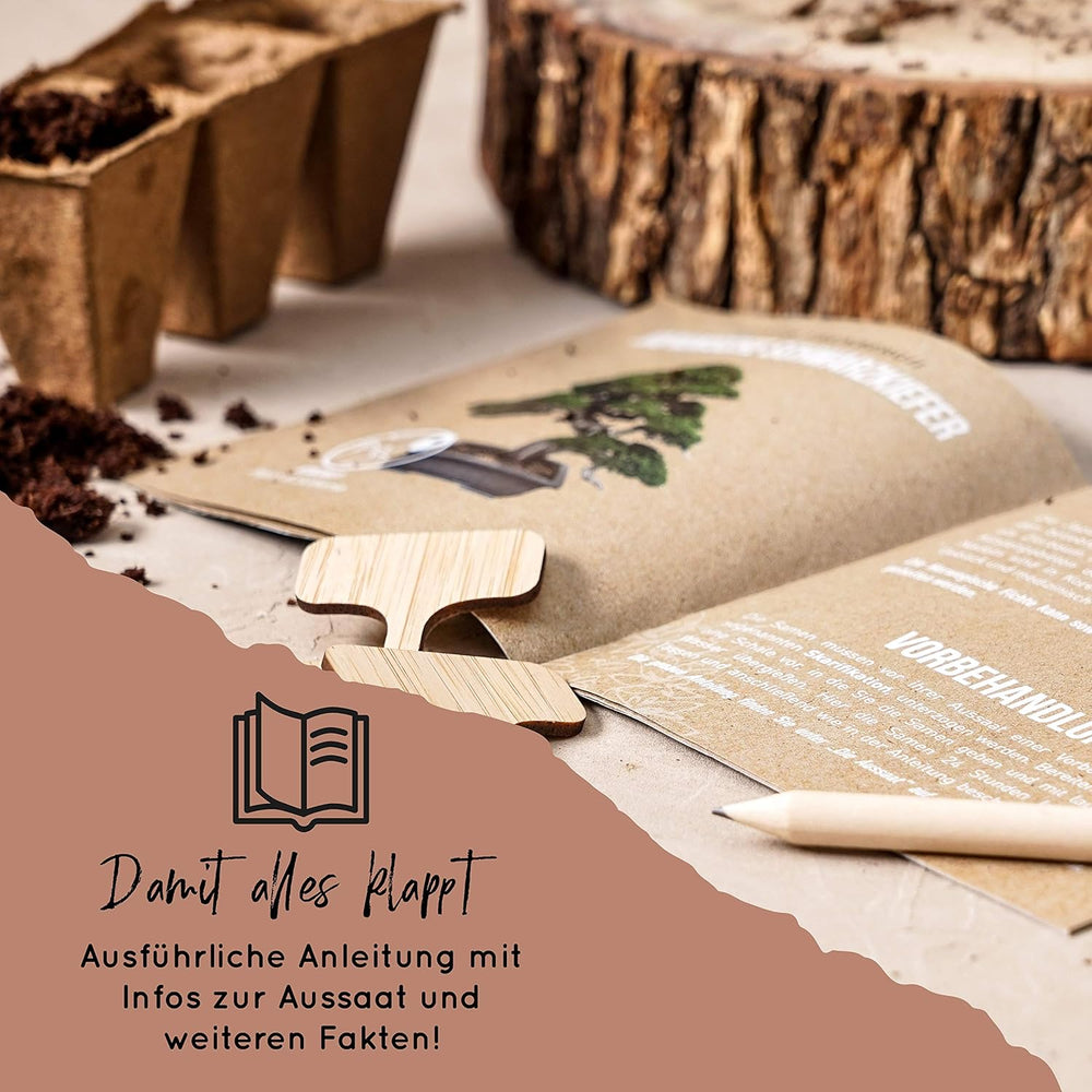 10 semi di bonsai da 5 continenti | Semi di alberi esotici per il tuo bonsai unico | Starter Kit e appassionati di piante | Il nostro set bonsai come idea regalo speciale