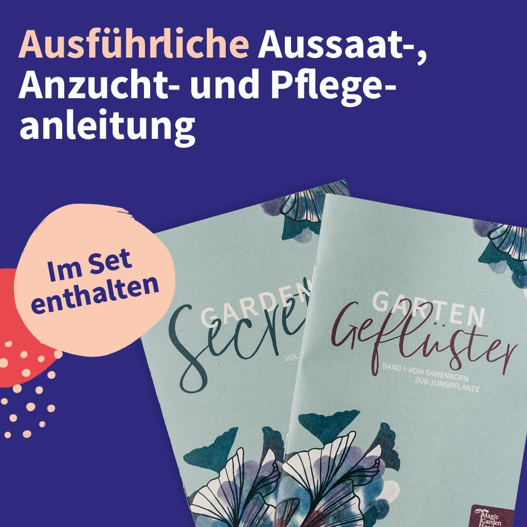 Magic Garden Seeds - Set di semi di piante medicinali dell'Europa centrale - 12 varietà tradizionali di piante medicinali popolari - Varietà antiche - Accessori da giardino - Semi di piante - Regalo per gli amanti del giardino