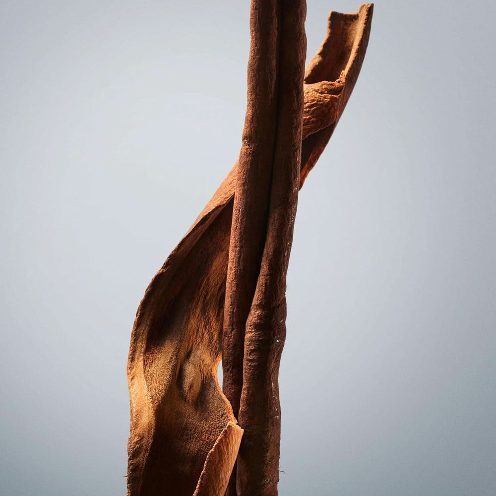 BOSS, gel doccia, fragranza legnosa orientale da uomo con note di cannella e muschio, 150 ml Doccia e bagno Naty Shop