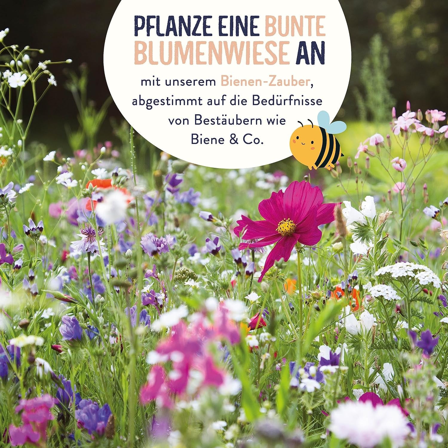 Blumenwiese Samen I 200 g I Blumensamen mehrjährig I Samen für Bienen Blumenmischung I Wildblumensamen f. Balkonblumen, Wildblumen I Wildblumensamen più inverno come Bienenweide