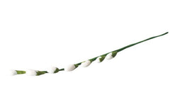 Decoratiune comestibila din zahar, Crenguta cu muguri Nati Shop