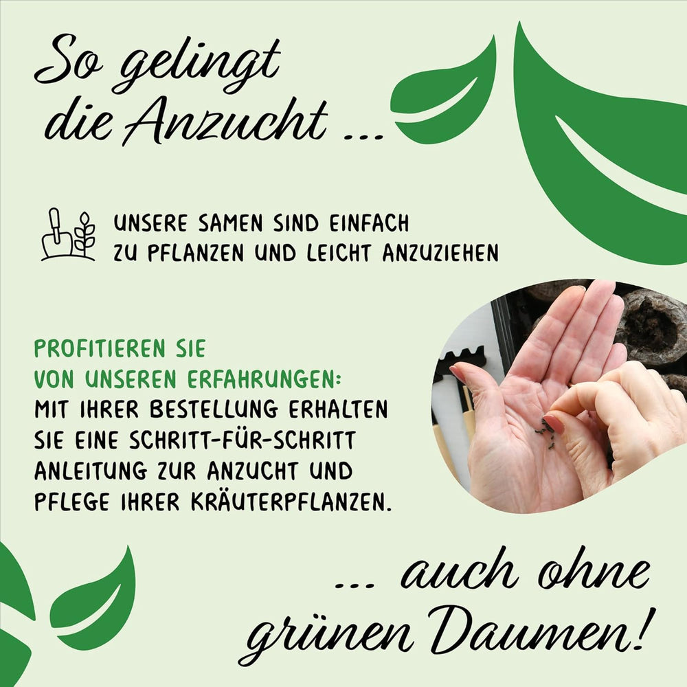 Prademir – Kräutersamen Set aus 16 beliebten Küchenkräutern – Kräuter Anzuchtset mit 100% Natursamen aus Portugal – Kräuter Saatgut aus Origano, Timo, Maggiorana, Rosmarino, Aneto, Basilico, Salvia uvm