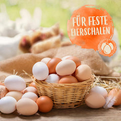 Ida Plus - GoldenEgg 200 ml - ridotto Brucheier & Federfressen - supportato Federwachstum & Federkleid - Wichtige Mineralien & Vitamine für Hühner - Beste Eierqualität bei Ihrer Hühnerhaltung