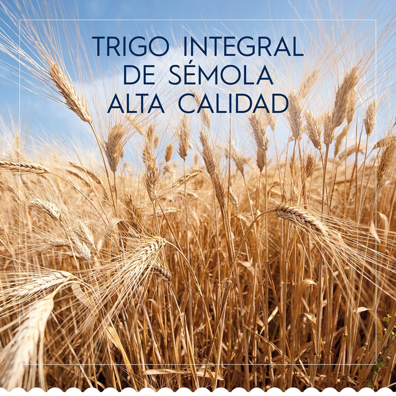 Spaghetti Classici Barilla n.7 pasta di semola di grano duro, sempre al dente (1 x 500 g)