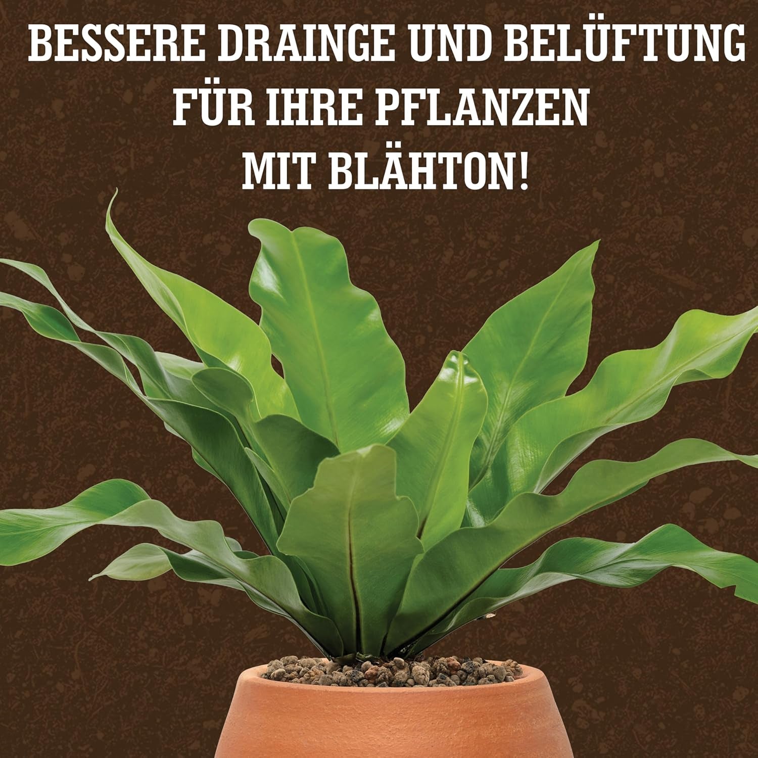 LERAVA® Argilla espansa (1L) – Granuli di argilla per piante d'appartamento e coltura idroponica – Argilla vegetale con pH neutro per un drenaggio ottimale – Ideale come strato drenante o granuli di argilla decorativa per piante