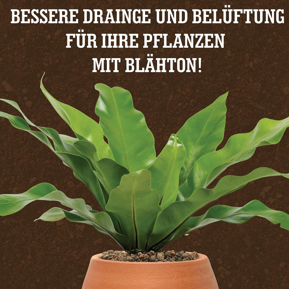 LERAVA® Argilla espansa (1L) – Granuli di argilla per piante d'appartamento e coltura idroponica – Argilla vegetale con pH neutro per un drenaggio ottimale – Ideale come strato drenante o granuli di argilla decorativa per piante