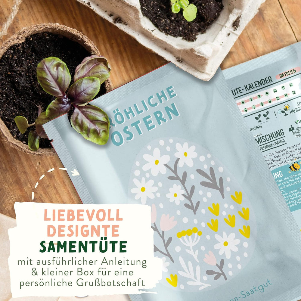 Semi di prato di fiori selvatici | Semi di fiori regalo di Pasqua, semi di erba pasquale | Semi di fiori di Pasqua e regali di Pasqua per bambini | Semi di fiori di campo | Pacchetti di semi per un prato fiorito