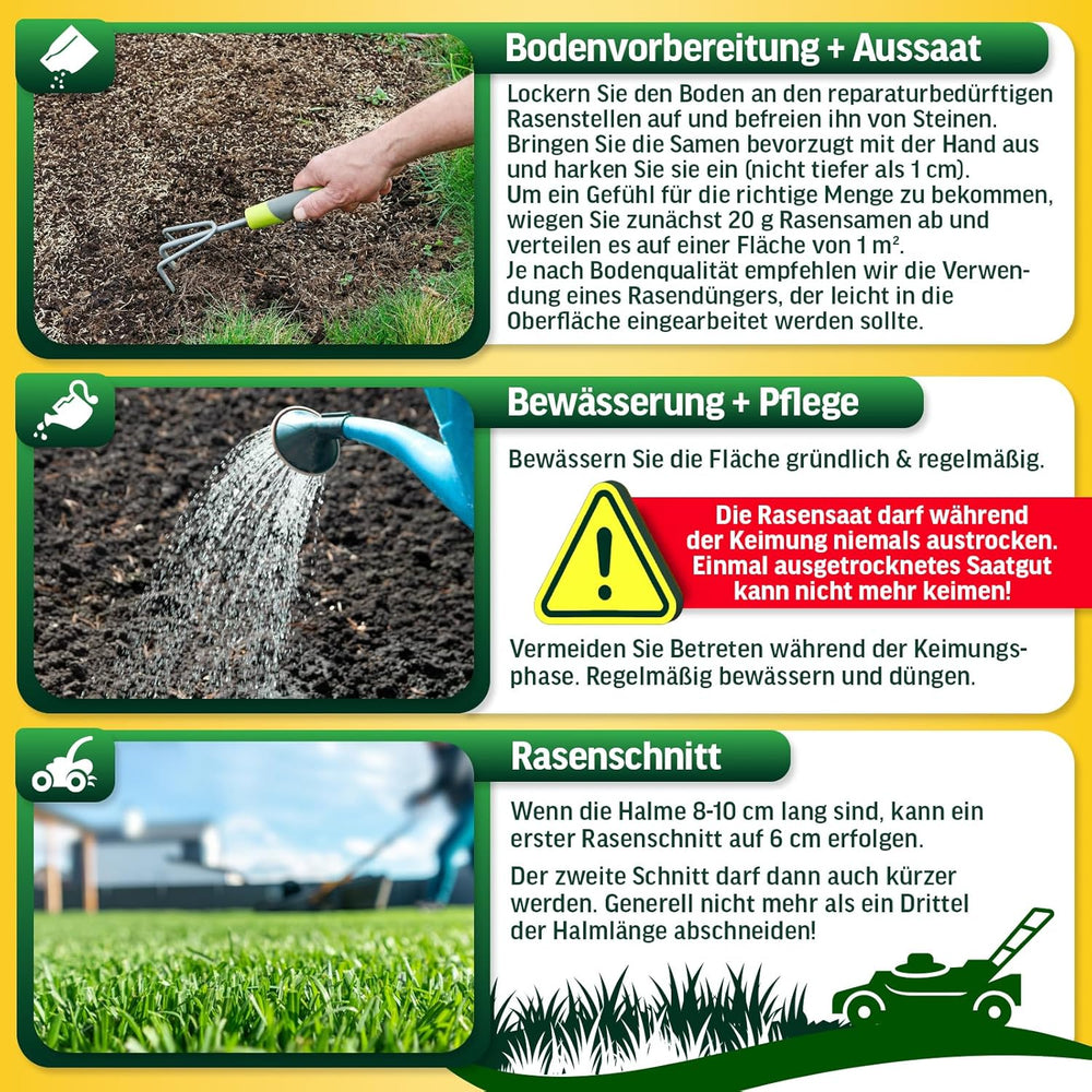 Rasensamen Schnellkeimend Turbo Nachsaat Grassamen Schnellkeimend Nach Original RSM 3.2 Empfehlung Aus Hochwertigster Gräser Mischung - 1Kg Sport Und Spiel Rasen Für 50 M2 - Made in Germany