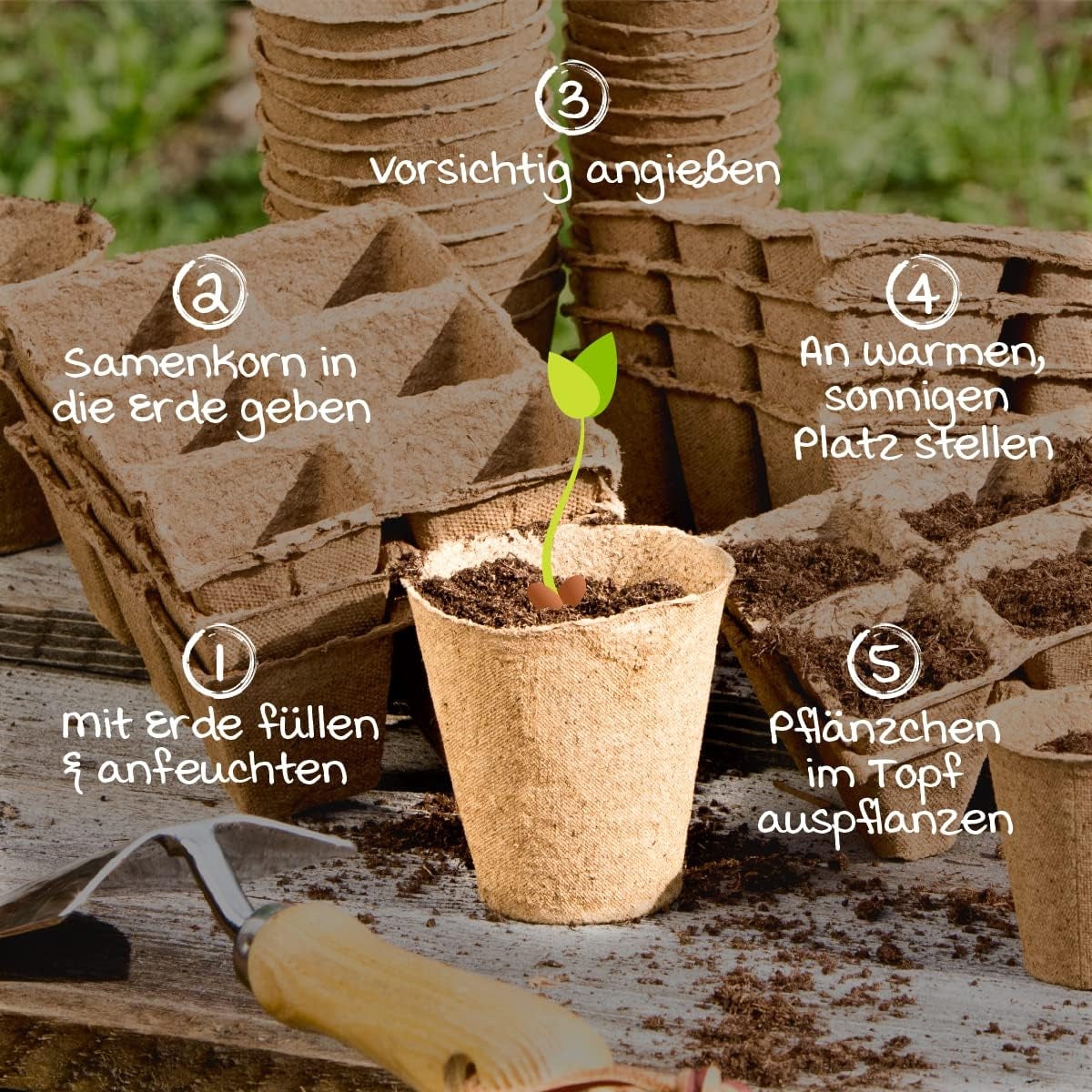 Ghivece pentru răsaduri Windhager, 48 bucăți, diametru 8 cm, maro, fără turbă, 04343