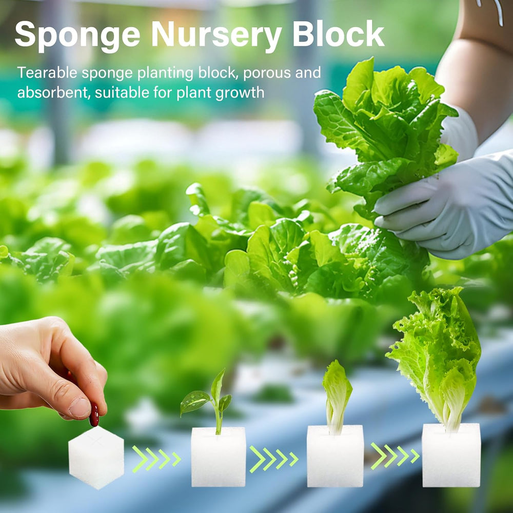 Lana di roccia, lana di roccia per propagazione, 2 pezzi, spugna idroponica, 200 pezzi dopo il taglio - Alternativa per serra, germinazione di semi e verdure domestiche