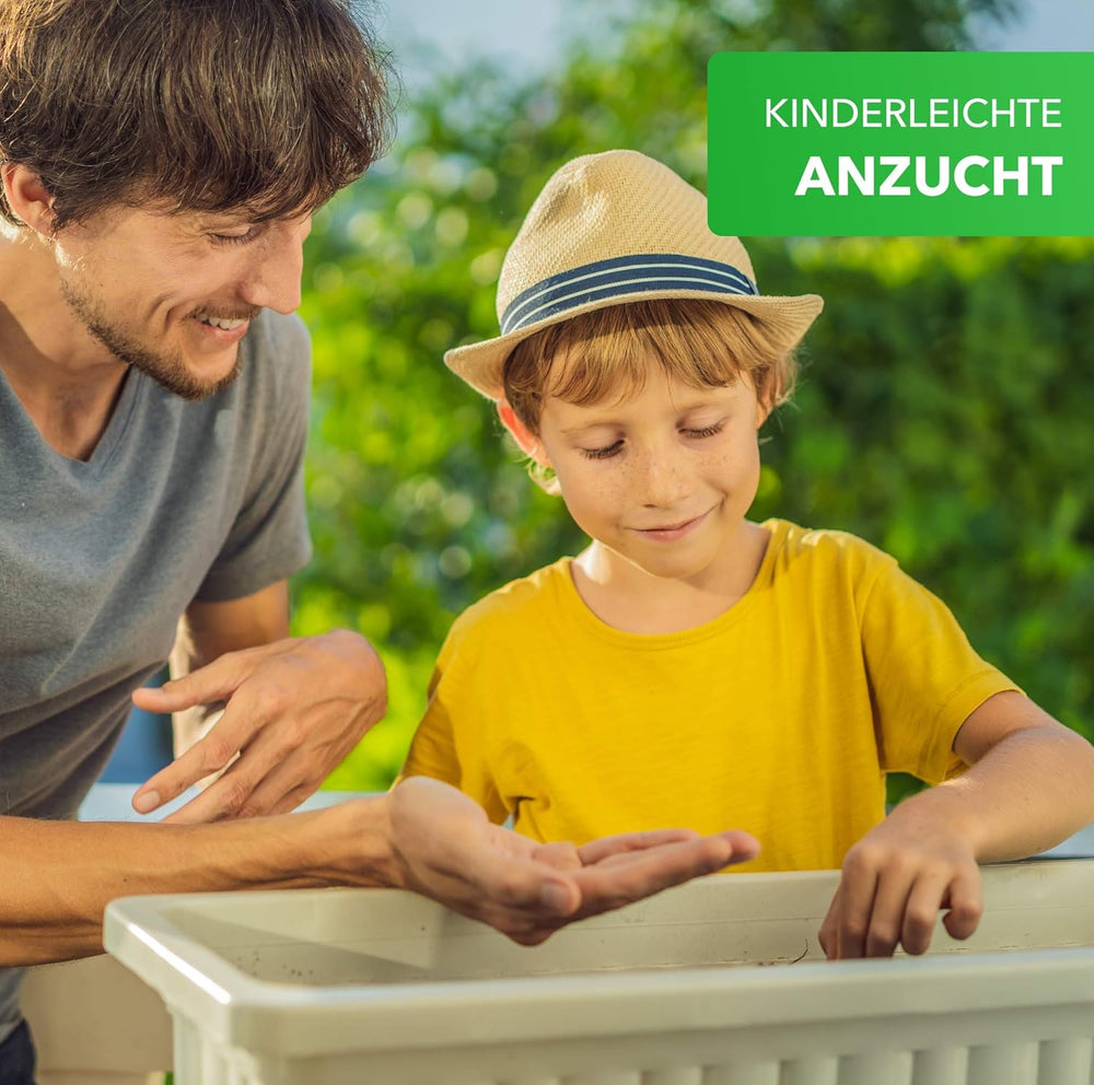 Magic of Nature Mix di scatole da balcone - Semi da 10 g - Piante adatte alle api - Facile da usare - Paradiso delle api - 5 specie autoctone coltivate - Adatto per fioriere e fioriere