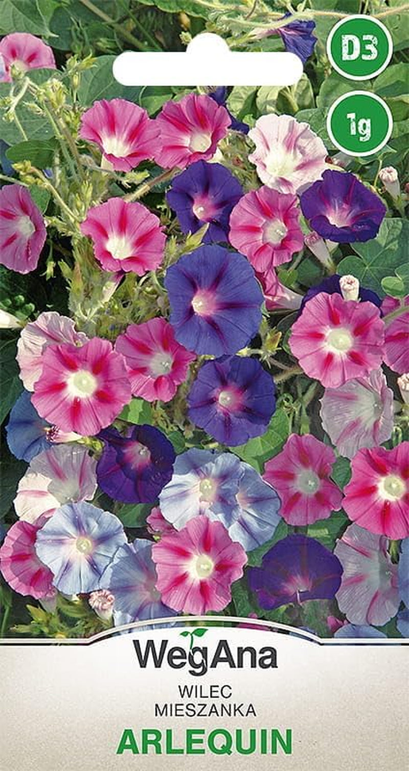 Semi Cosmos Sensation Mix 1g, Cosmos Mix Fiori estivi, Piante da giardino Piante da balcone, Semi di fiori