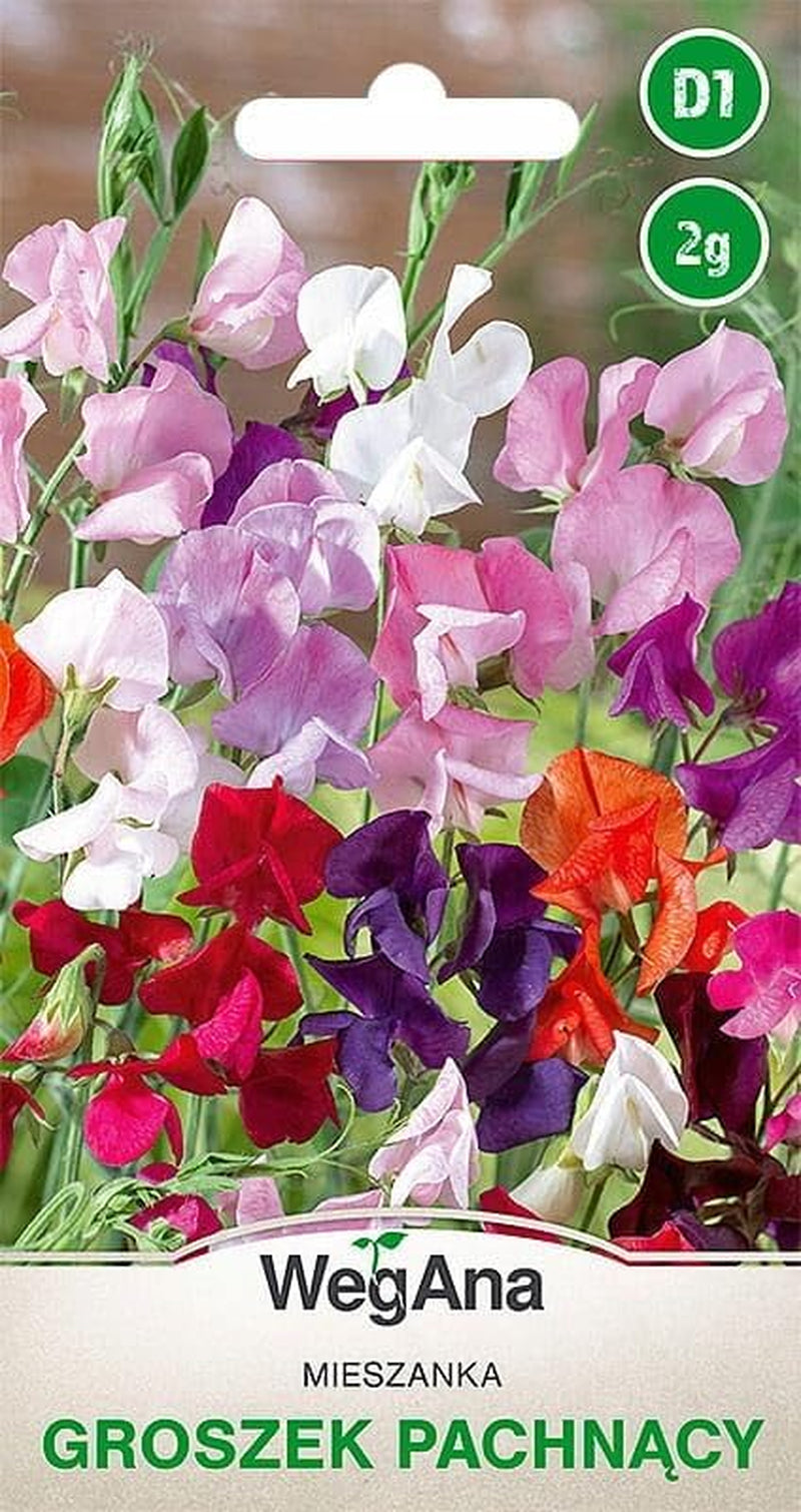 Semi Cosmos Sensation Mix 1g, Cosmos Mix Fiori estivi, Piante da giardino Piante da balcone, Semi di fiori