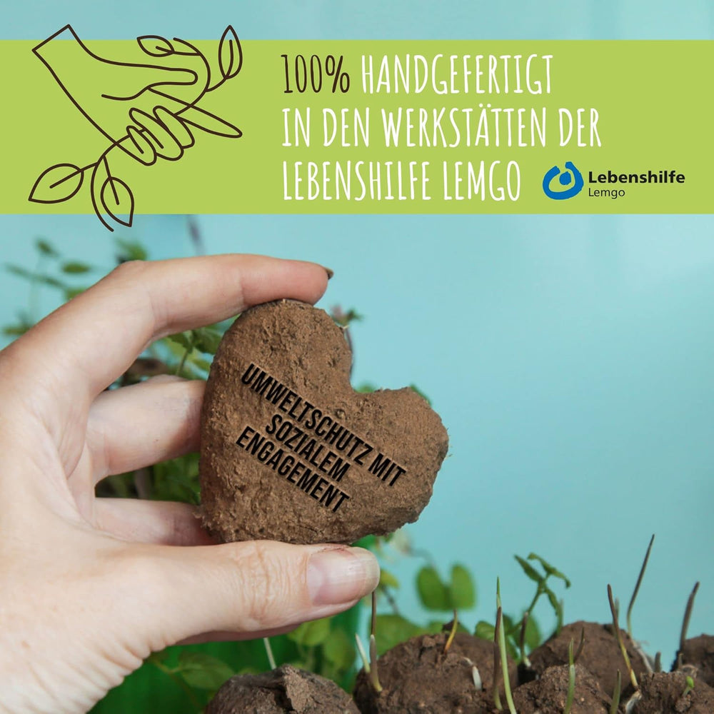 Samenbomben Selber Machen Für Eine Bunte Bienenweide - Bienenfreundlicher Seedbomb Bausatz Für 20-30 Seedbombs