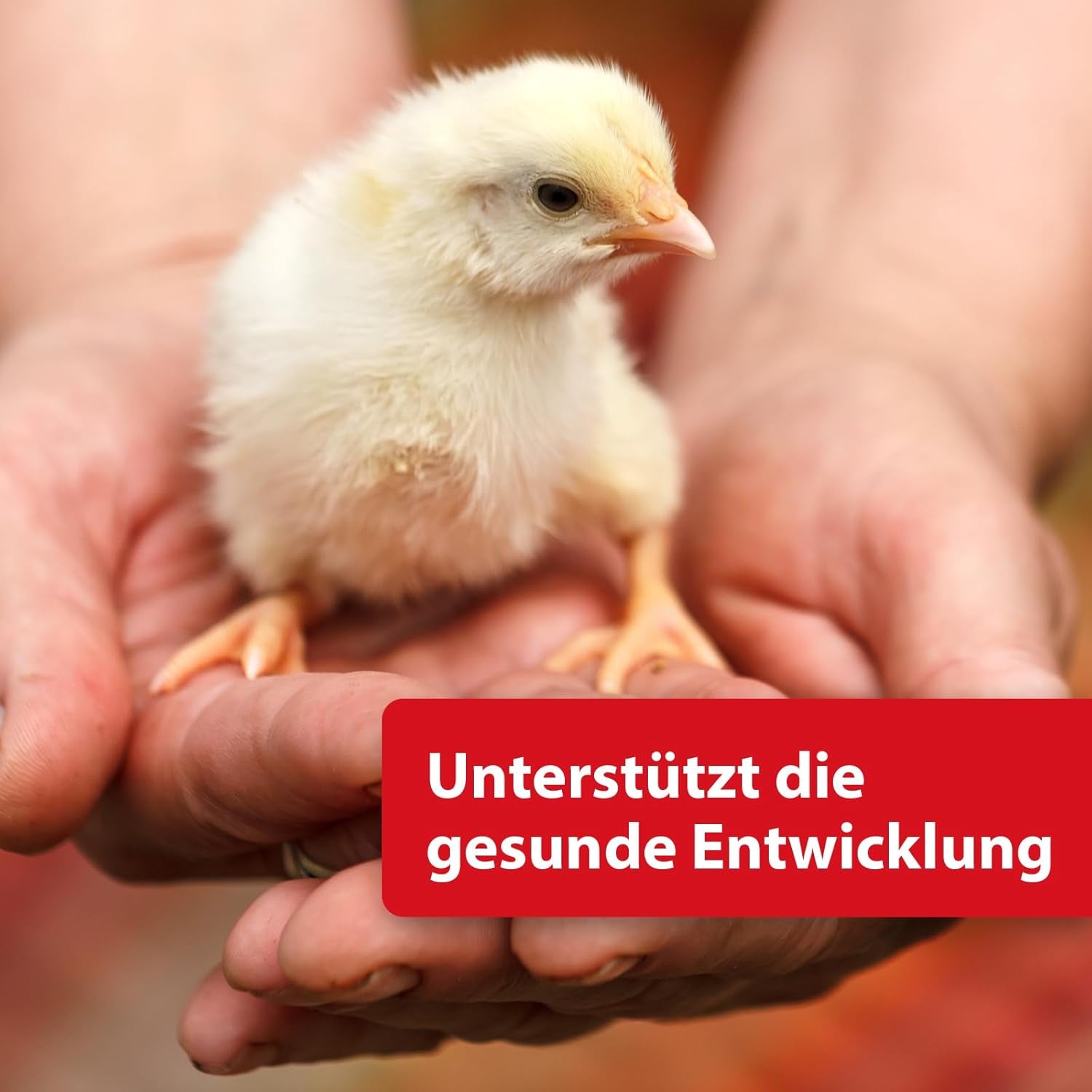 Quiko Hobby Farming - Eifutter für Hühner 2kg - Hühner Zubehör - Hühner Vitamine