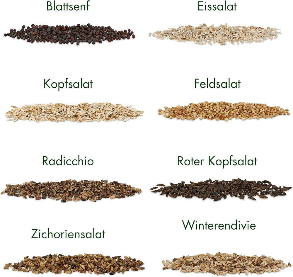 Semi di lattuga: set di 8 varietà di semi di insalata per giardino e balcone - Semi di lattuga, foglie di senape, valerianella (resistente), radicchio, semi di indivia, cicoria - Semi di verdure per insalata di OwnGrown