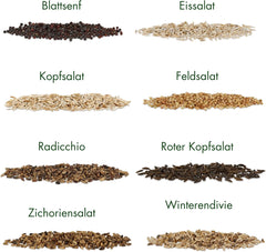Semi di lattuga: set di 8 varietà di semi di insalata per giardino e balcone - Semi di lattuga, foglie di senape, valerianella (resistente), radicchio, semi di indivia, cicoria - Semi di verdure per insalata di OwnGrown