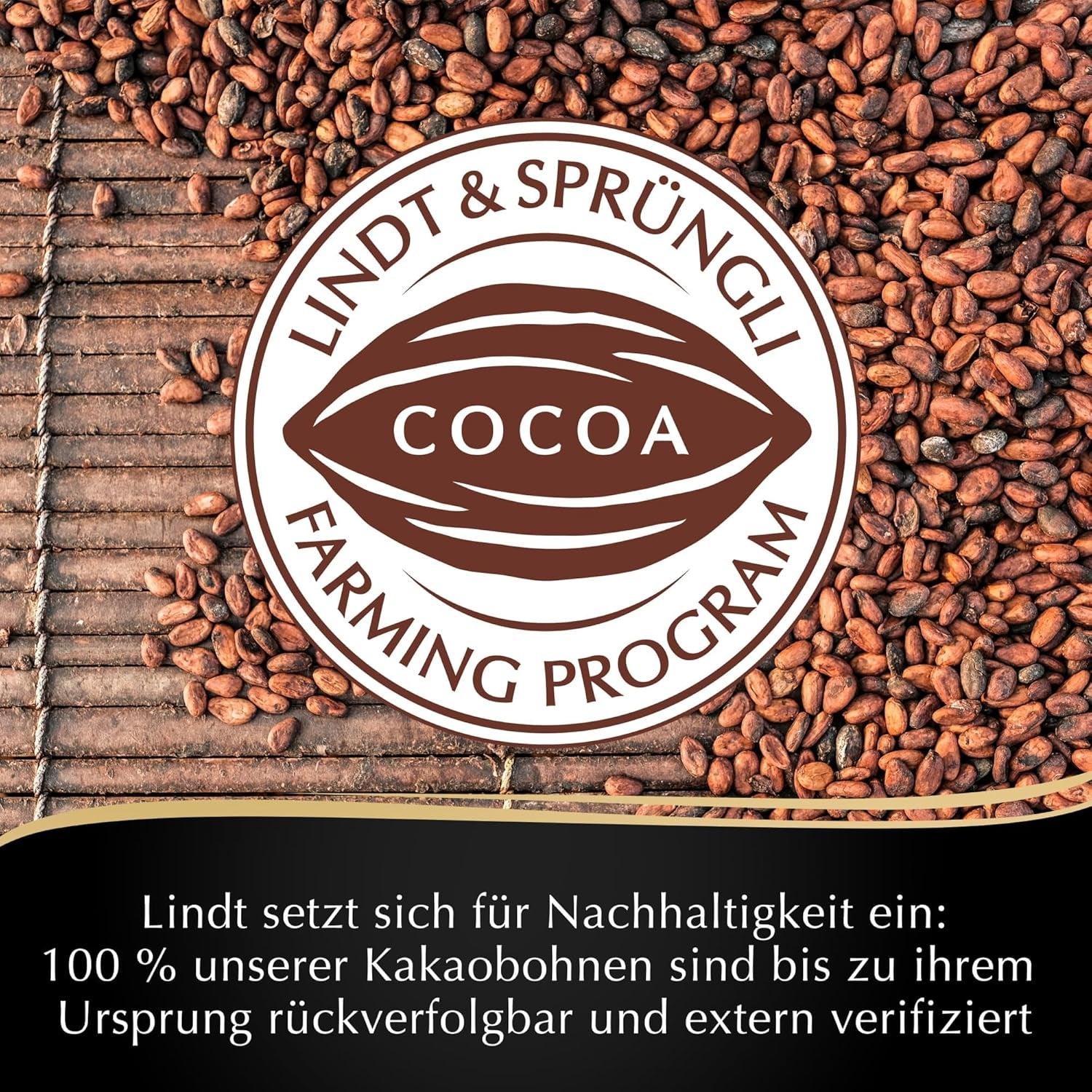 Mousse al cioccolato fondente Lindt con peperoncino e ciliegie | Barretta 150g | Con il 70% di cacao e ripieno di mousse al cioccolato fondente e ciliegia e peperoncino | Tavoletta di cioccolato | Cioccolato fondente