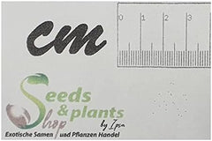 Stk - 10X Begonia Ignea Ziersträucher Garten Pflanzen - Samen ID340 -
