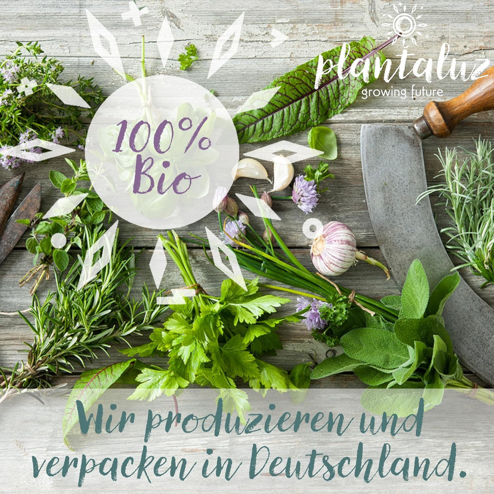 Set di semi biologici premium Plantaluz P03 – Set di semi di piante culinarie e medicinali per giardino, balcone e interni – incl. Bastoncini per piantare FSC – Semi biologici non impollinati, non trattati e senza OGM