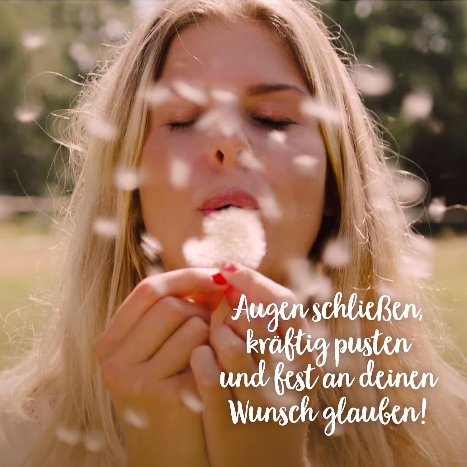 Die Stadtgärtner – 3X Wunscherfüller I Echte Pusteblume Im Glas I Ewig Haltbar I Perfekte Geschenkidee Für Jeden Anlass I Geschenke Für Frauen & Freundin