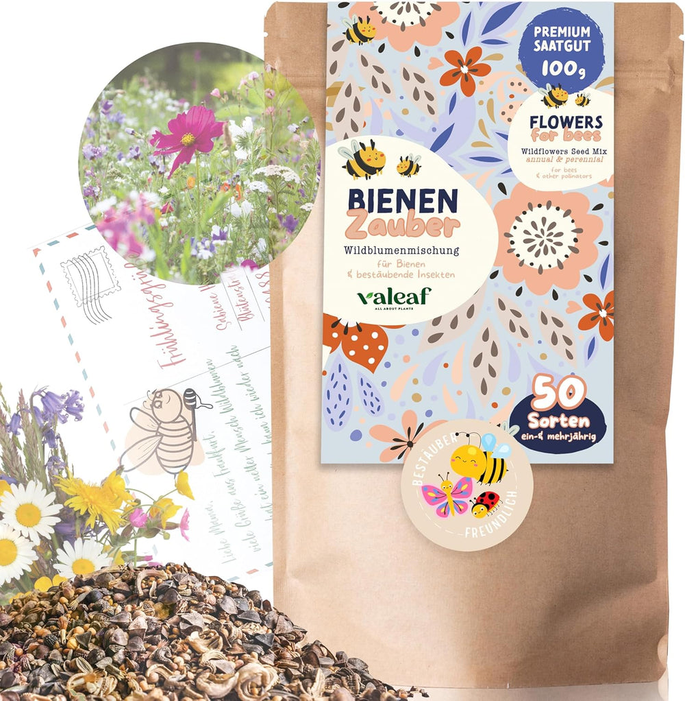 Blumenwiese Samen I 200 g I Blumensamen mehrjährig I Samen für Bienen Blumenmischung I Wildblumensamen f. Balkonblumen, Wildblumen I Wildblumensamen più inverno come Bienenweide