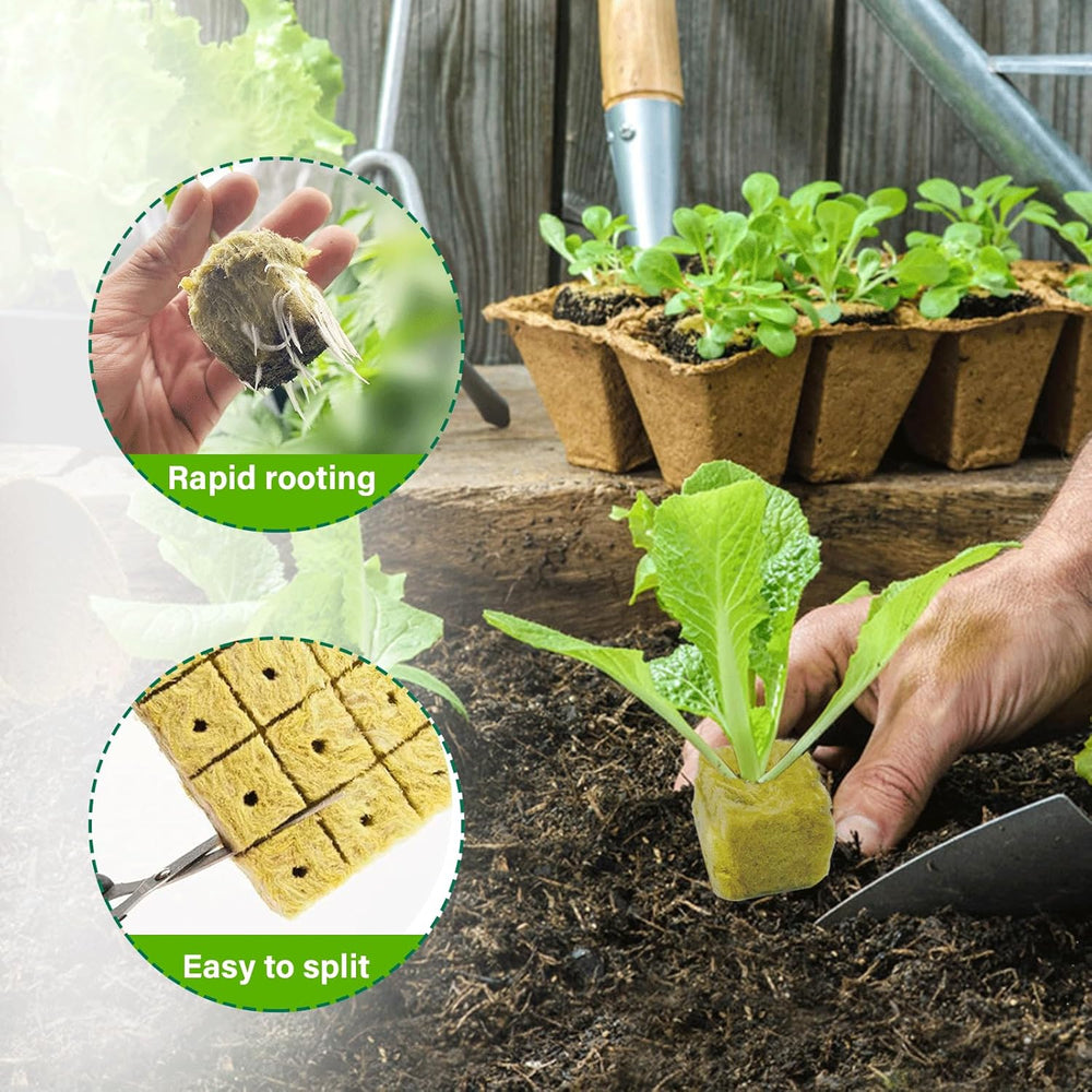 100 pezzi Steinwolle Anzucht Würfel 2.5x2.5x2.5CM Rockwool Cube Anzuchtmatte Steinwolle Anbau Hydrokultur Umpflanzen für Bodenlose Anzucht Setzlinge Stecklinge Klonpflanzen