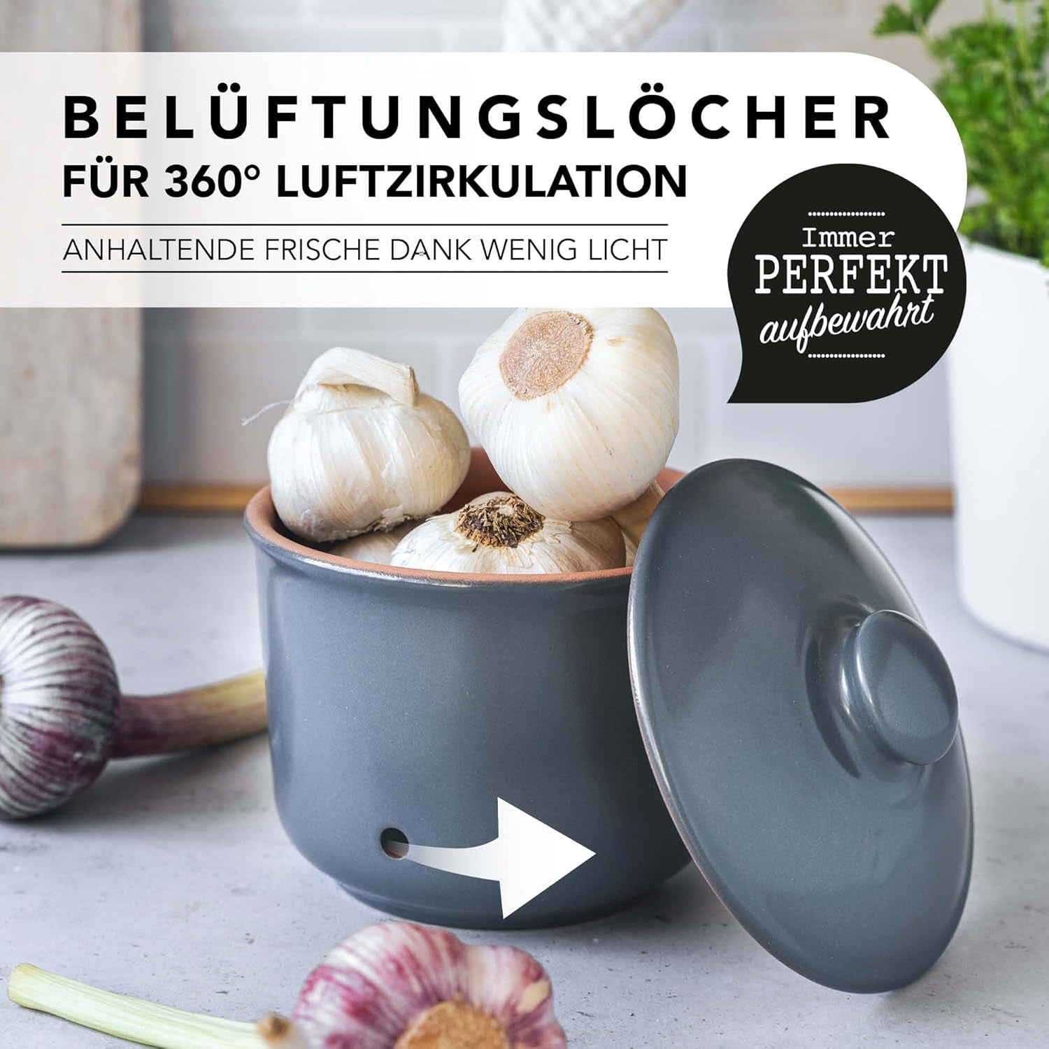 Römertopf oală de usturoi oală proaspătă din lut natural pentru o perioadă lungă de valabilitate a alimentelor, cum ar fi usturoiul Ø 12,5 cm alb Cutii depozitare alimente Naty Shop