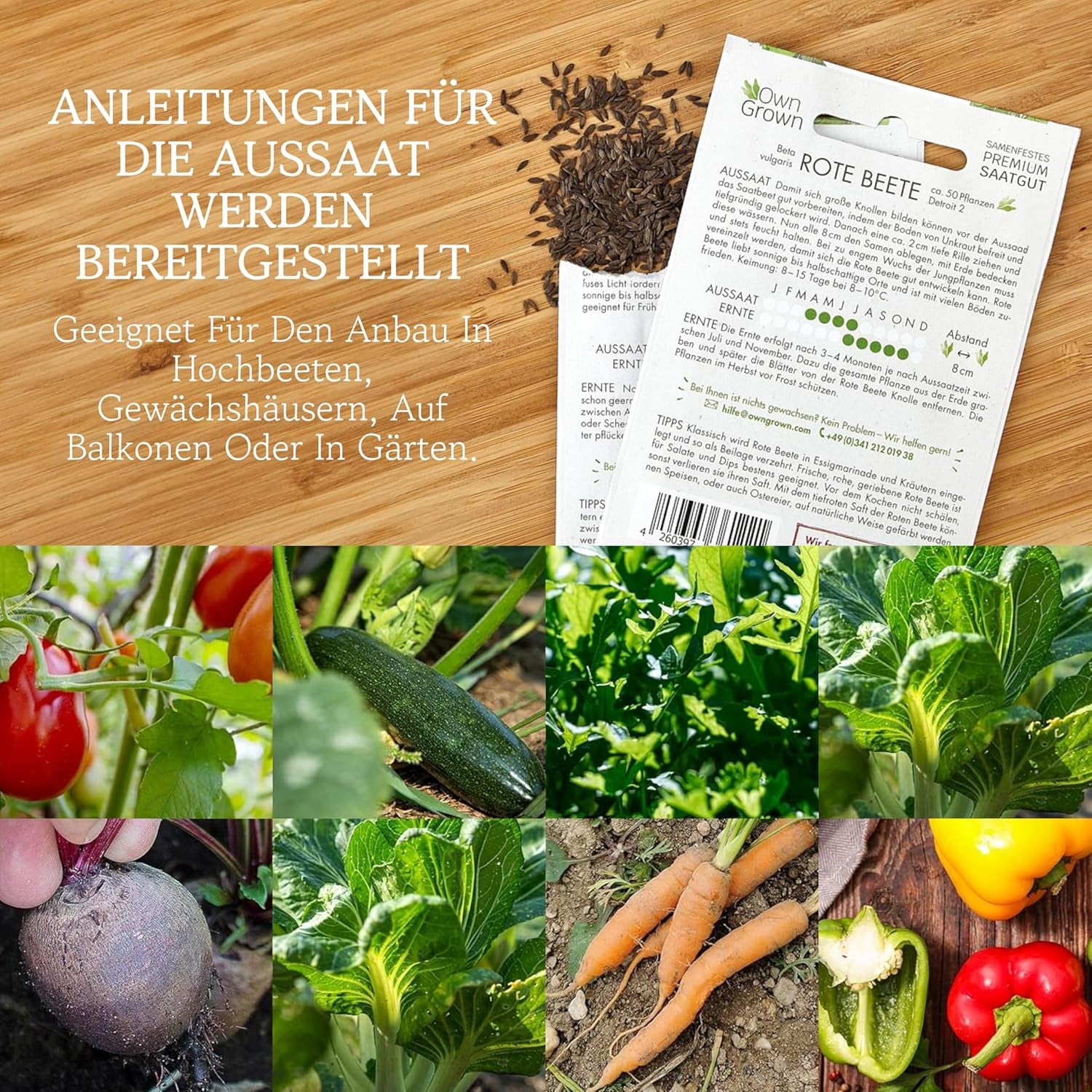 Set di semi di verdure coltivate da soli - 12 Pflanzensemen Sorten für Hochbeet und Garten - Praktische Box mit Gemüsesamen für den Anbau Frischer Ernte zu Hause - Ideal für Gartenliebhaber