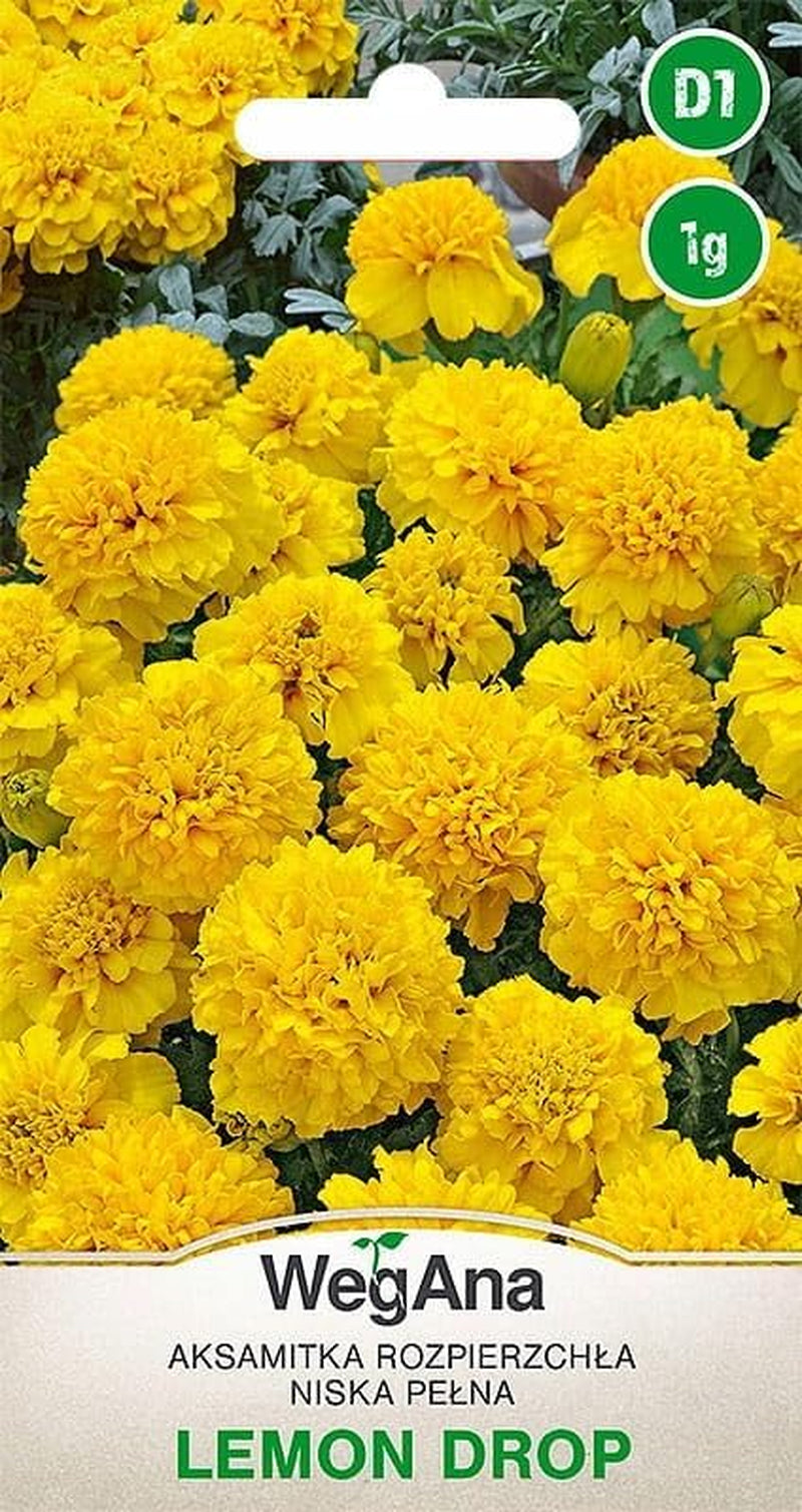 Semi Cosmos Sensation Mix 1g, Cosmos Mix Fiori estivi, Piante da giardino Piante da balcone, Semi di fiori