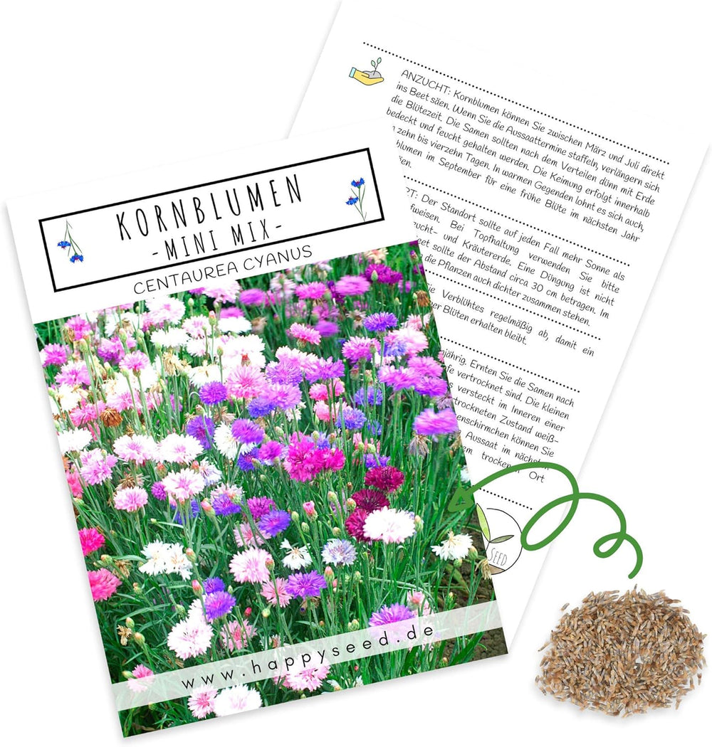 Semi di Centaurea cyanus - Fiori belli e vivaci con un lungo periodo di fioritura per un prato fiorito colorato (Mix, 1000 semi, 80 cm)