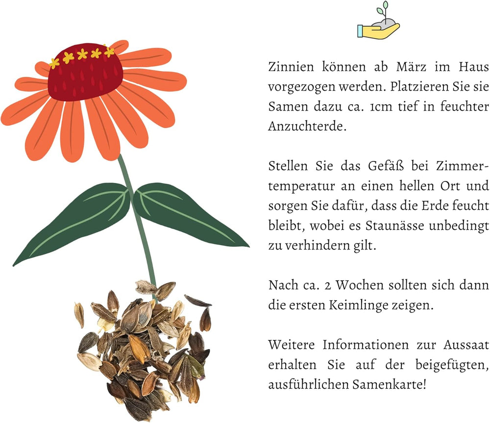 Mix di semi di zinnia (Zinnia) - Fiori estivi colorati per aiuole, balconi, terrazze e come fiori recisi in vasi