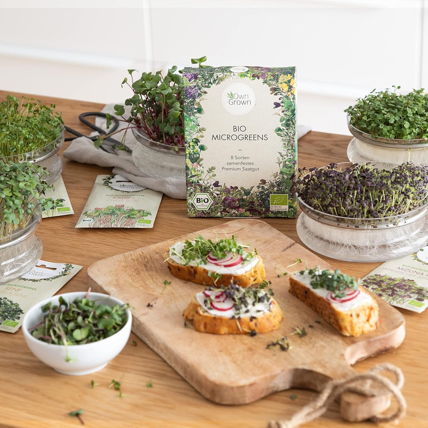 Microgreens Samen Set Von Owngrown - 8 Sorten BIO Sprossen Und Mikrogrün Saatgut Im Microgreens Starter Set - Alfalfa, Rucola, Kresse Für Kresse Anzuchtschalen Uvm - Sprossen Samen