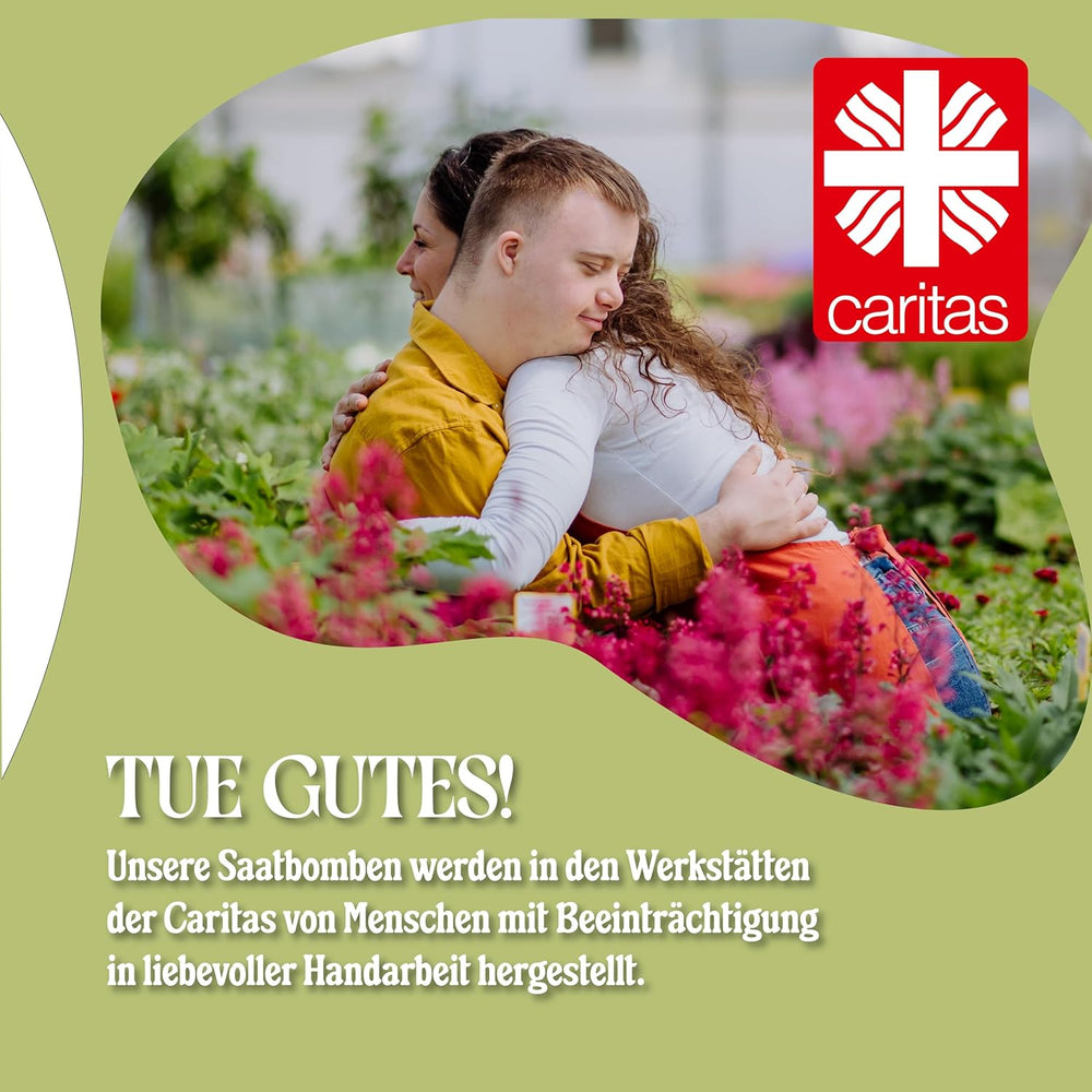 LouMaxx Set di bombe di semi fatte a mano 10x3, bombe di semi regalo, semi di fiori come bomboniere, semi sostenibili per bomboniere per bambini, palline per fioriere ecologiche con oltre 50 tipi di semi di fiori