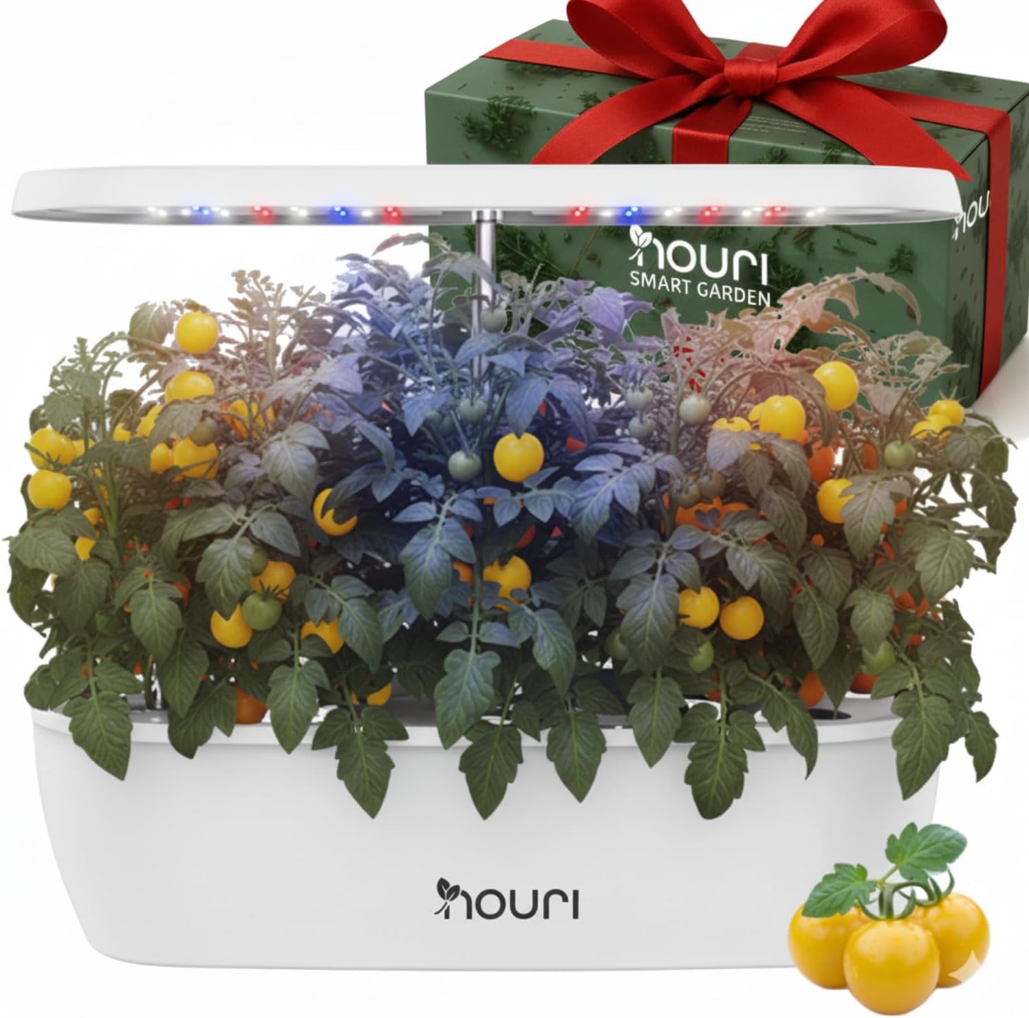 Nuovo 7 Bridge + Basilico cimelio | Giardino intelligente per cuochi casalinghi | Sistema di coltivazione idroponica | Luci progressive a LED | Kit per giardinaggio di erbe aromatiche da interni per amanti delle piante e giardinieri, bianco