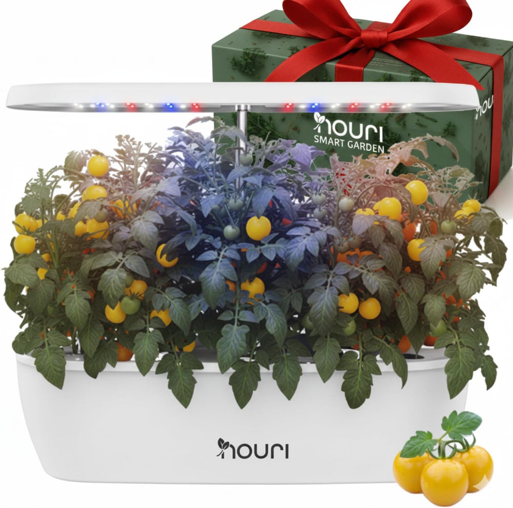 Nuovo 7 Bridge + Basilico cimelio | Giardino intelligente per cuochi casalinghi | Sistema di coltivazione idroponica | Luci progressive a LED | Kit per giardinaggio di erbe aromatiche da interni per amanti delle piante e giardinieri, bianco
