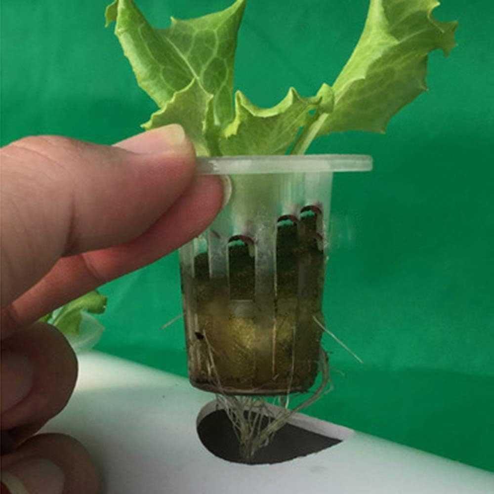 Kit di coltivazione idroponica a 1 strato con 54 fioriere, sistemi di coltivazione di piante fuori suolo in PVC con pompa dell'acqua, kit di coltivazione idroponica per la coltivazione di frutta e verdura su balconi, giardini, cortili e cortili