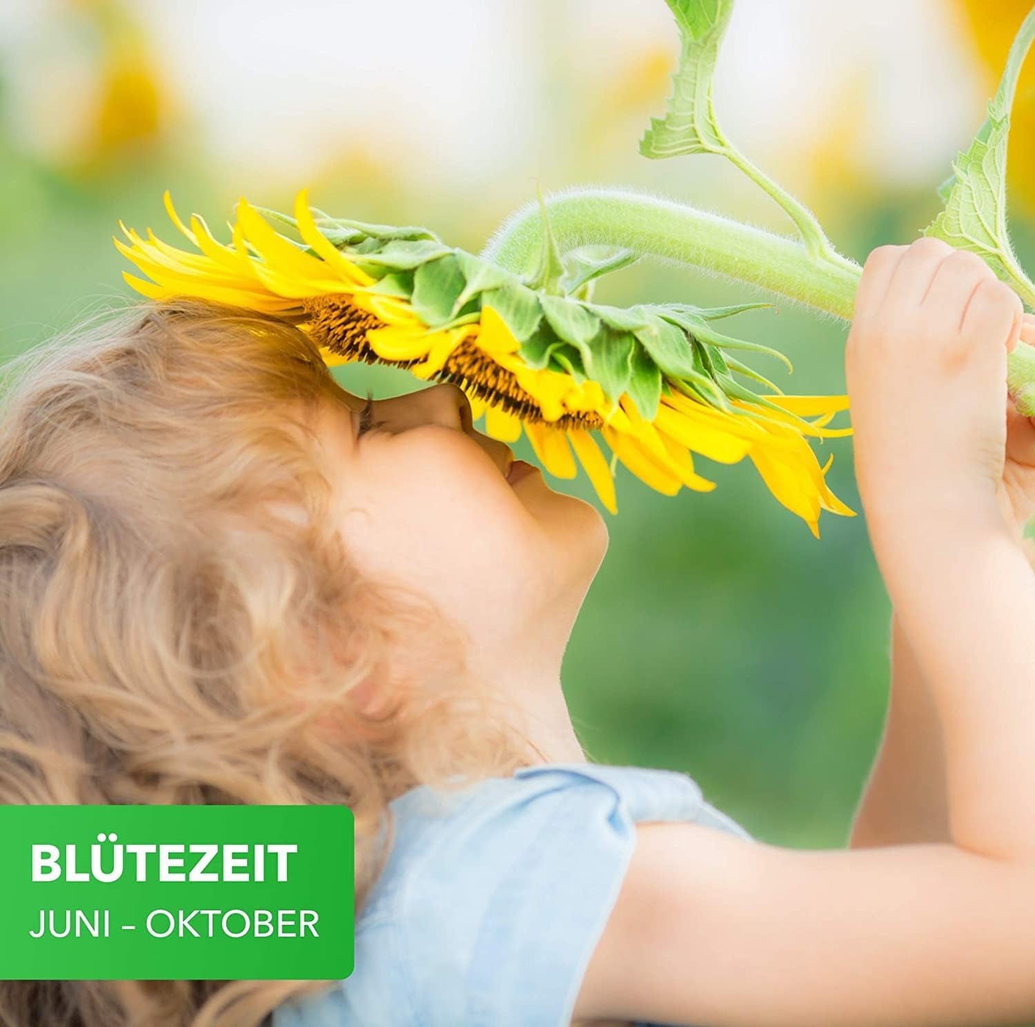 Magia della Natura 800gr. Blumensamen Mischung - Bienen Paradies - Blühfreudige Bienenweide per 150 bis 250 m²