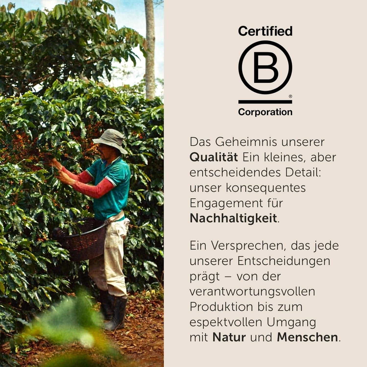 illy, Kaffeebohnen Arabica Selection Costa Rica, 100% Arabica mit Karamell-, Schokoladen- und Vanillenoten, süßer Geschmack, 1 Dose mit 250g