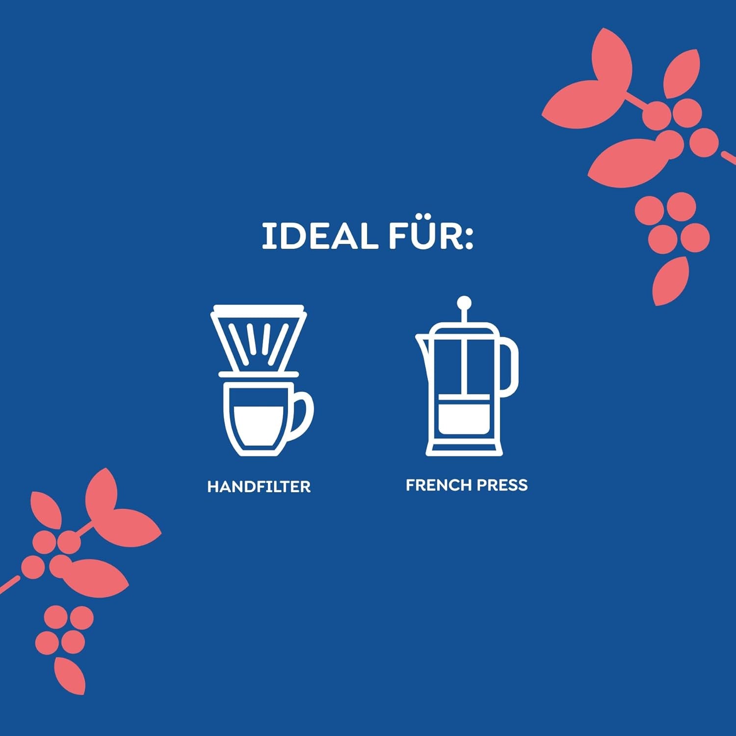 Melitta Manufaktur-Kaffee Guatemala Honey, Caffè speciale, 250G, Caffè in grani interi, Non macinato, Caffè monorigine, Tostato delicato, Tostato in Germania, Forza 3 Caffè Naty Shop