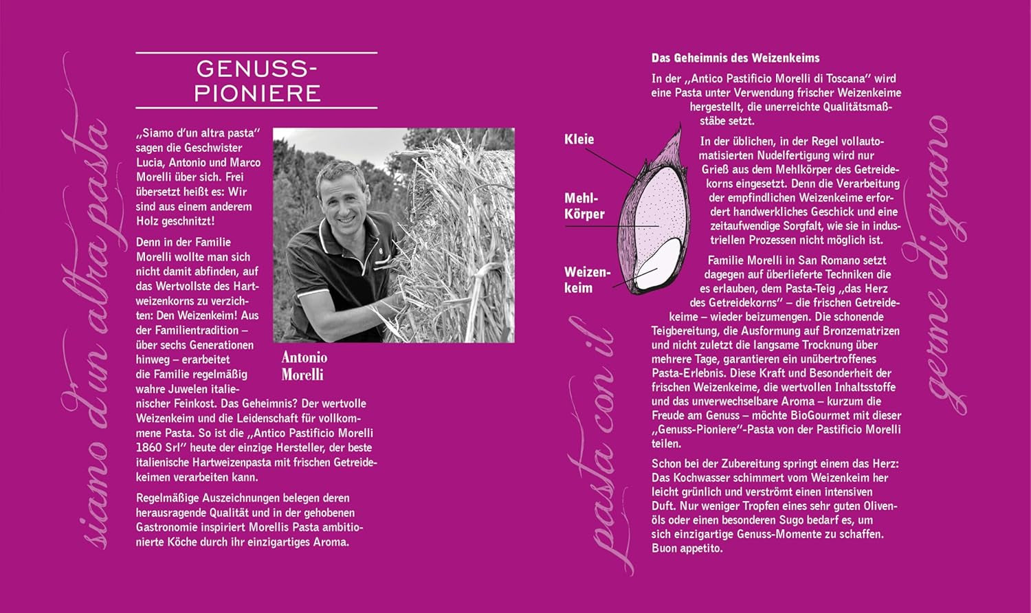 BioGourmet Pappardelle al Germe di Grano - Pasta Larga Bio per Stufati e Sughi - con Nutrienti Extra | 500 g Biologico e Vegano