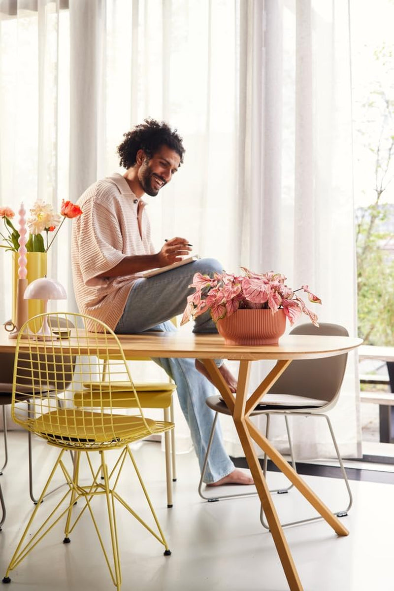 elho Vibes Fold Bowl 25 - Ghiveci de flori de interior - 100% plastic reciclat - Ø 24,9 x H 12,1 cm - Roz/Roz deschis