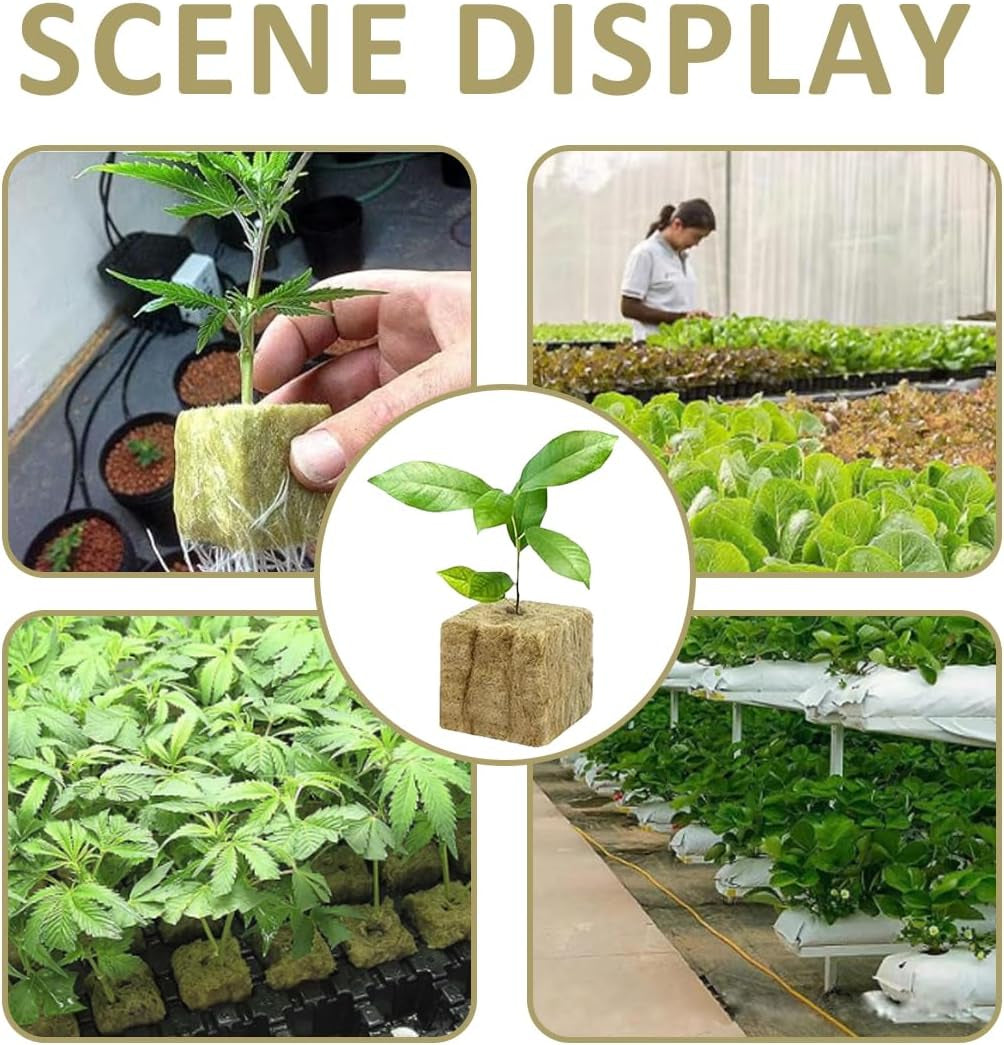 Cubi per piantine di lana di roccia 28 - Cubi di lana di roccia 4x4x4 cm - Cubi per piantine, Cubi di lana di roccia, Sistemi di piantine idroponiche/Piante clonate/Progetti scolastici, Coltivazione di piantine senza suolo