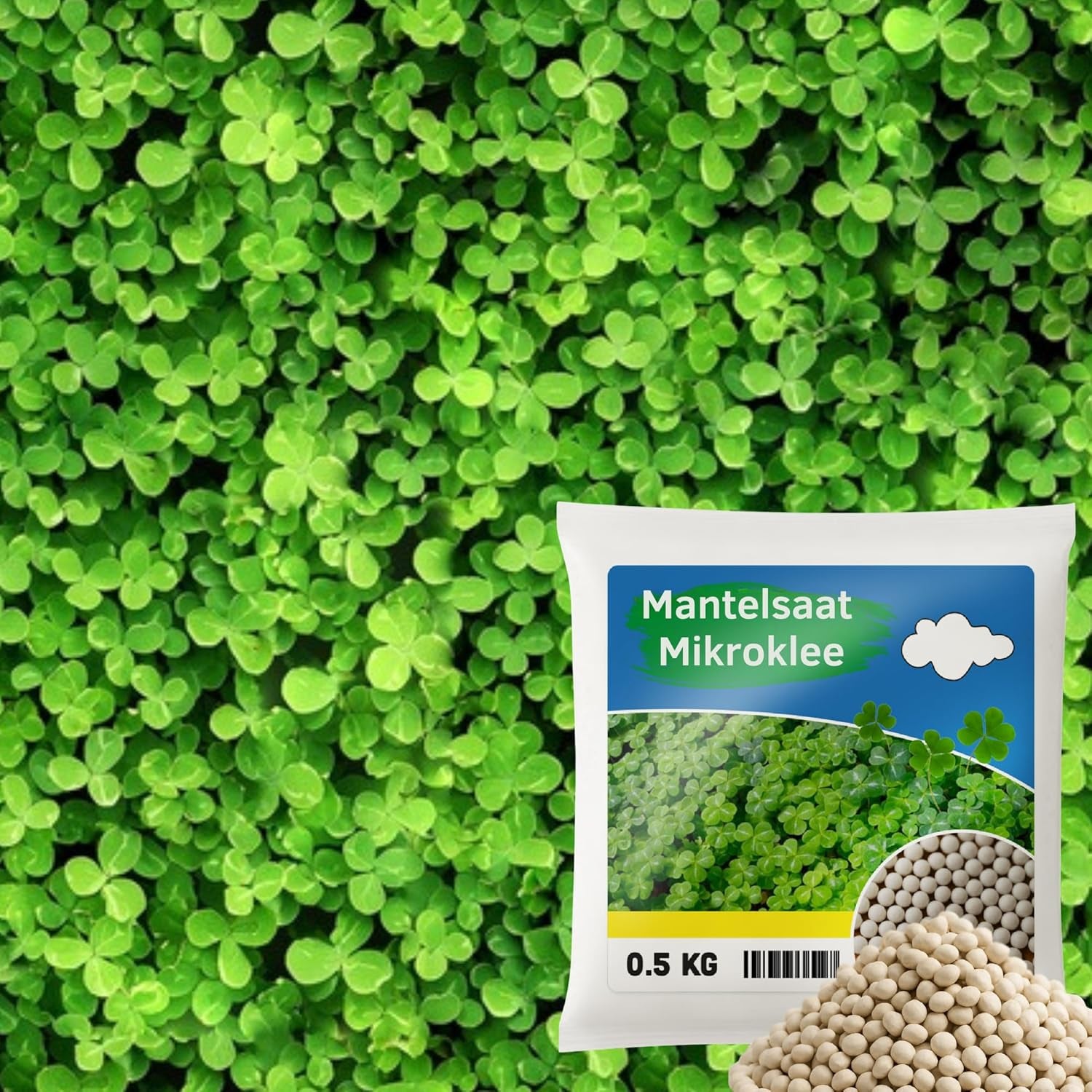 Flower Meadow - Mix di semi di fiori adatti alle api - Fiori di campo ed erbe per luoghi asciutti - Semi di fiori di campo - Mix di semi annuali e perenni