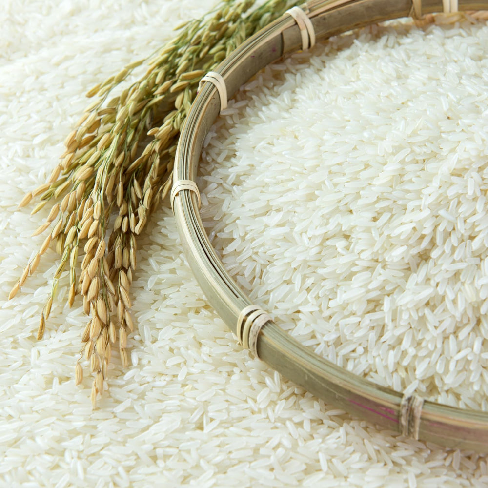 - Langkornreis stile USA - 1 X 20 KG