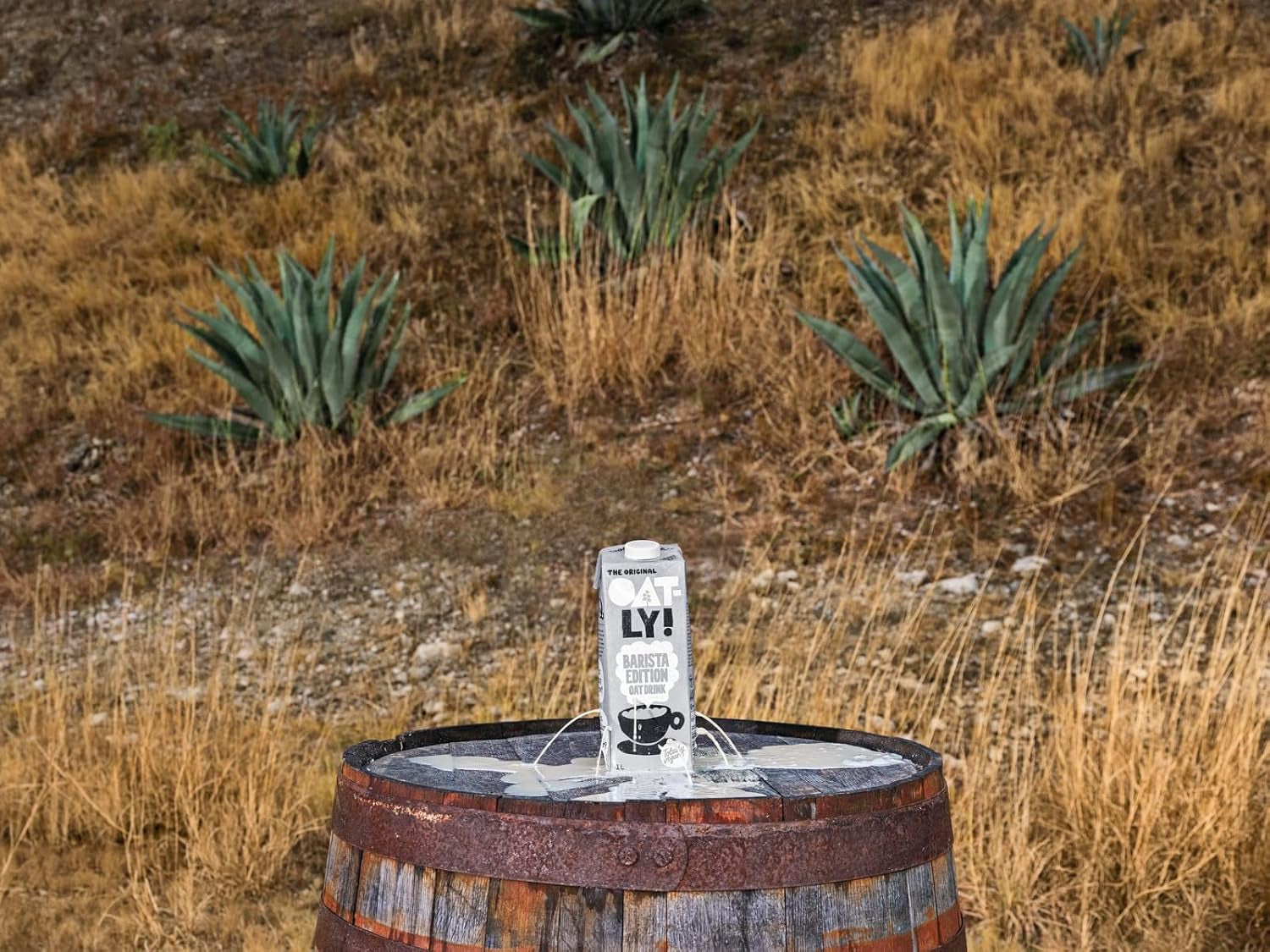 Oatly Barista Haferdrink Barista Edition, lunga durata 1 litro (confezione da 6)